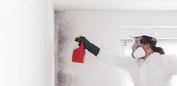 Best Mold Cleaning Services  in Cleveland, OK